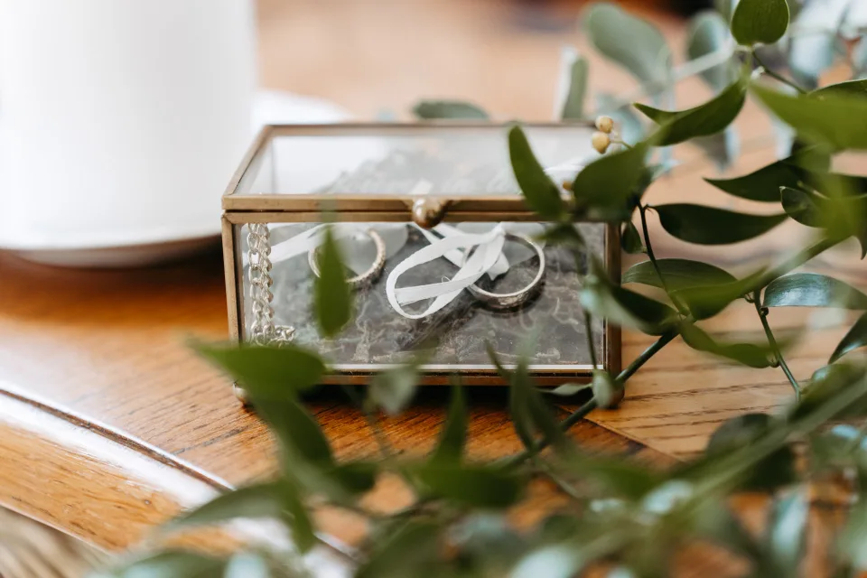 Hochzeit Grafenegg – Brautpaar in der Schlossallee
